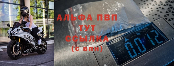 spice Богданович