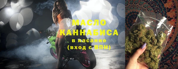 mix Богородицк