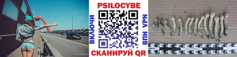 Галлюциногенные грибы MAGIC MUSHROOMS  магазин продажи наркотиков  Бологое 