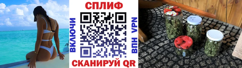 купить наркотик  Бологое  Бошки марихуана марихуана 